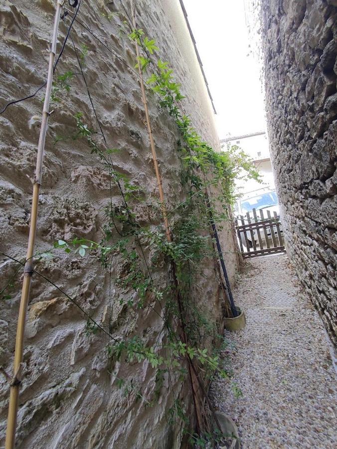 Il Fait Bon Vivre Classe 3 Etoiles Montcuq Eksteriør bilde